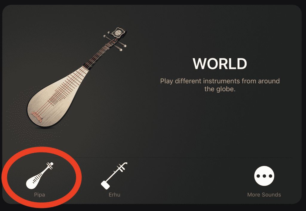 GarageBand Touch Instrument: Pipa